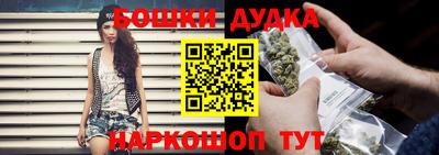 гашик Будённовск