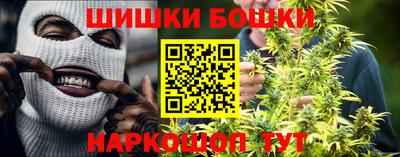 гашик Будённовск