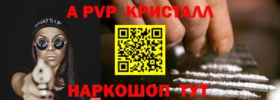 гашик Будённовск