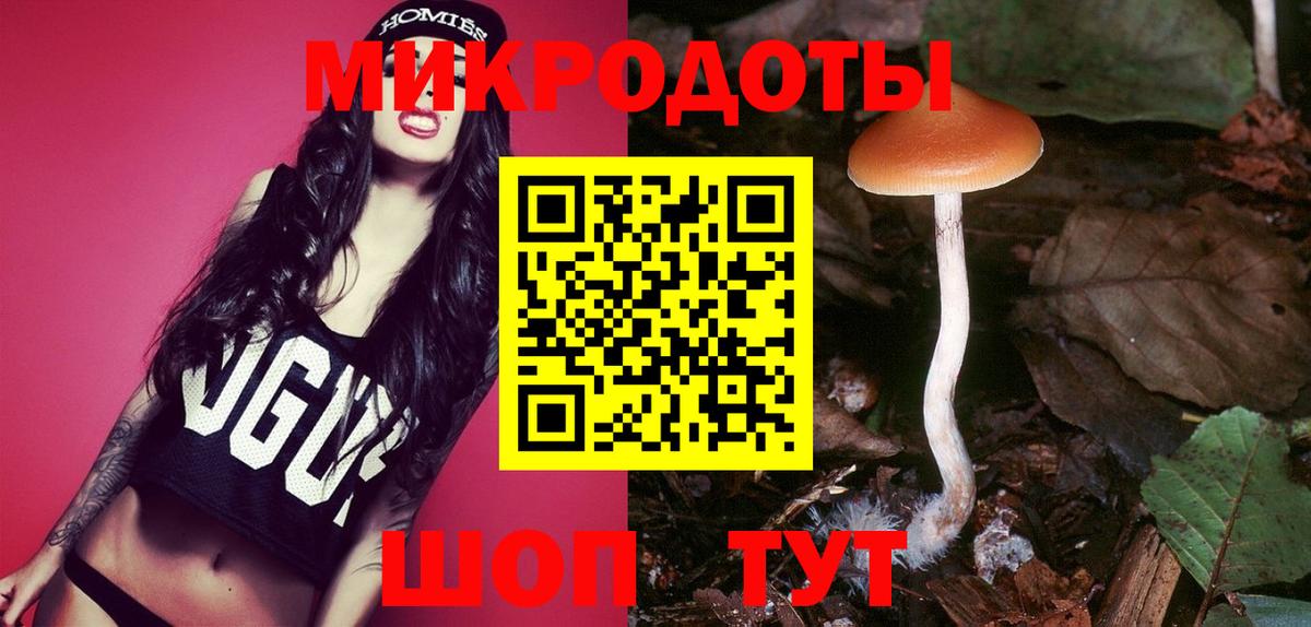 Псилоцибиновые грибы Psilocybine cubensis  Вход с VPN  Галлюциногенные грибы мицелий  Каменск-Шахтинский 